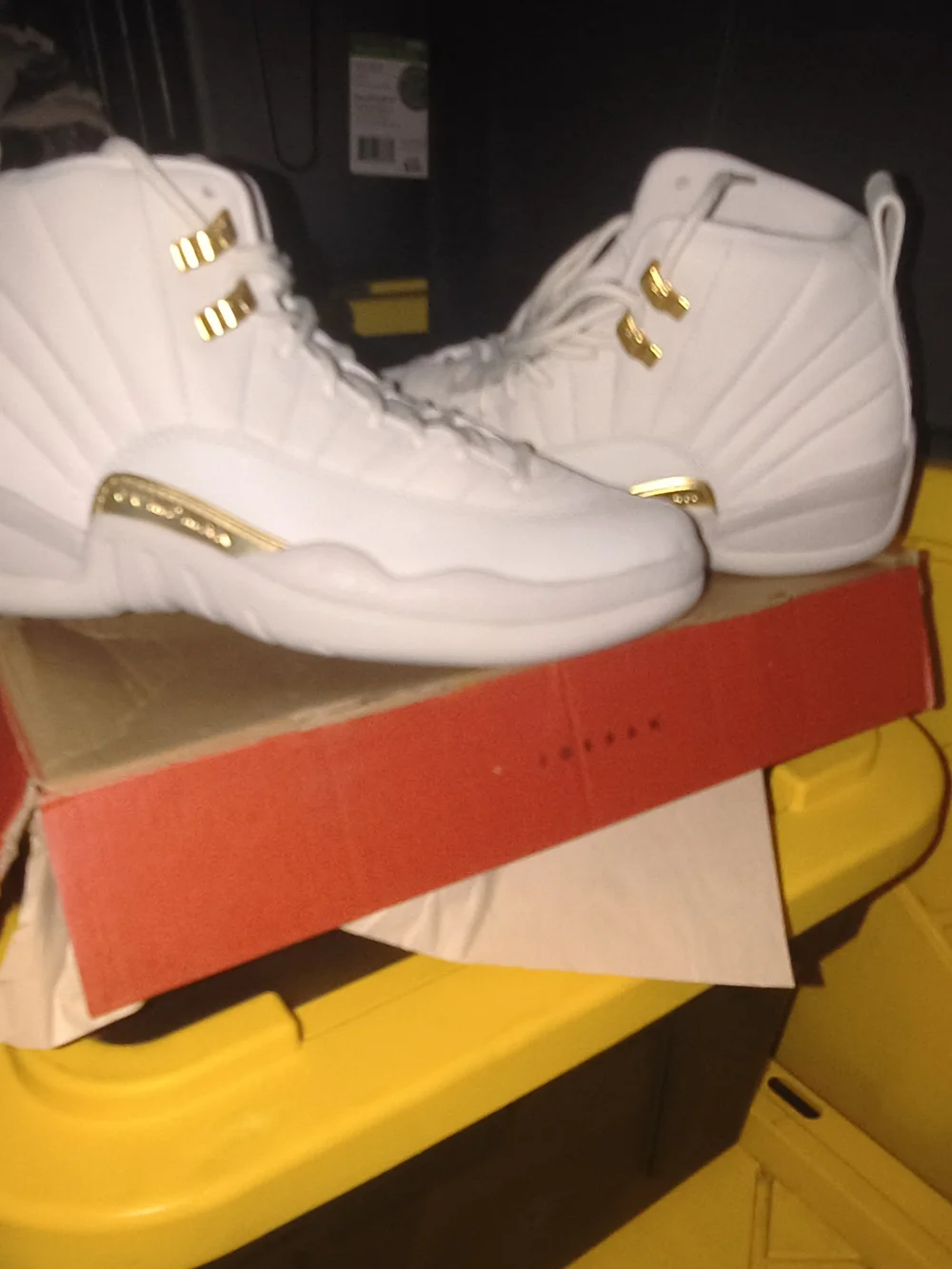 Nike Women's White High-Top Sneakers with Gold Accents